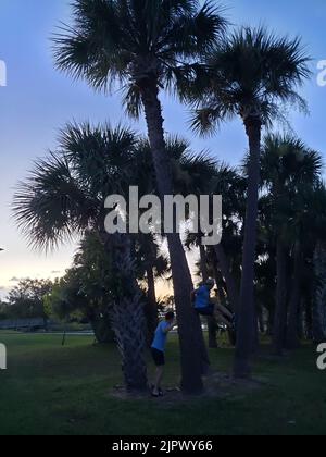 Manatee Sanctuary Park am Abend, Cape Canaveral, Florida Stockfoto