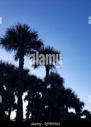 Manatee Sanctuary Park am Abend, Cape Canaveral, Florida Stockfoto