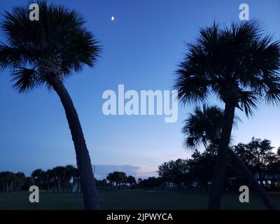 Manatee Sanctuary Park am Abend, Cape Canaveral, Florida Stockfoto