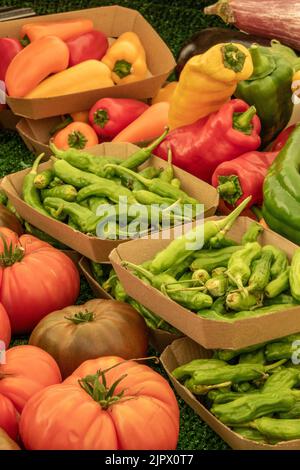 Farbenfrohe Paprika und Chilis mit Tomaten, die auf einem Obst- und Gemüsemarkt auf der Insel wight uk in einem Gemüsehändler verkauft werden, scharfe Chilischoten Stockfoto