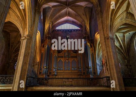 San Sebastian, Spanien - Juni 26 2021: Gewölbter Innenraum und französische Orgel aus dem 19.. Jahrhundert in der Kirche San Bizente Eliza oder San Vicente Martyr aus dem 16.. Jahrhundert Stockfoto