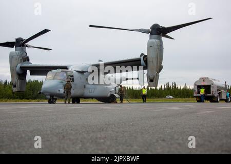 U.S. Marines with Marine Medium Tiltrotor Squadron 161, Marine Aircraft Group 16, 3. Marine Aircraft Wing, betanken einen MV-22B Fischadler auf dem Gulkana Airfield, Alaska, 15. August 2022. Alaska dient als idealer Trainingsstandort, der die Praxis und Verbesserung von Taktiken, Techniken und Verfahren in einem realistischen, relevanten Umfeld ermöglicht. (USA Marine Corps Foto von Lance CPL. Daniel Childs) Stockfoto