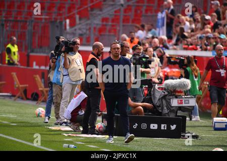 Leverkusen, 20. August 2022: Andre Breitenreiter. Das Spiel der Bundesliga FC Bayer 04 Leverkusen gegen die TSG 1899 Hoffenheim Stockfoto