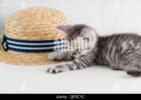 Ein kleines, schön gestreiftes grau-weißes Kätzchen spielt neben einem Strohhut. Selektiver Fokus Stockfoto