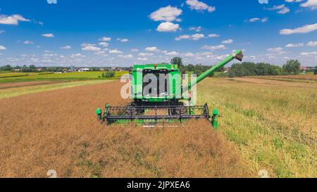 Luftaufnahme eines grünen Mähdreschers mit einer drehbaren Walze, der in einem großen Getreidefeld arbeitet und Getreide erntet. . Hochwertige Fotos Stockfoto