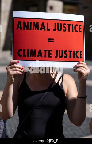 Barcelona, Spanien. 20. August 2022. Ein Klimagerechtigkeitsaktivist hält während der Demonstration ein Plakat. Klimaaktivisten haben sich auf der Plaza de Sant de Sant Jaume vor der Tür des Hauptquartiers der Präsidentschaft der Regierung von Katalonien versammelt, um Klimagerechtigkeit zu fordern. (Foto von Paco Freire/SOPA Images/Sipa USA) Quelle: SIPA USA/Alamy Live News Stockfoto