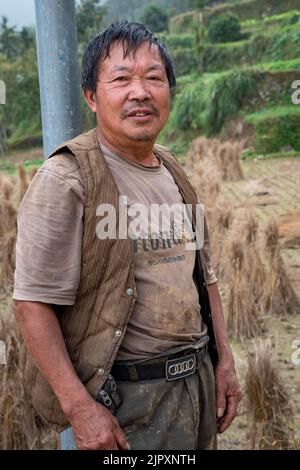 Terrassierte Reisfelder bieten eine landschaftlich reizvolle landschaftliche Schönheit in China Stockfoto