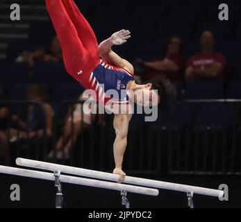 20. August 2022: Asher Hong von der Cypresss Academy tritt während der U.S. Gymnastics Championships 2022 in der Amalie Arena in Tampa, FL, auf den Parallelbarren an. Kyle Okita/CSM Stockfoto