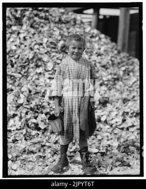 Winzig, sieben Jahre alten Oyster shucker (Henry's Schwester, Nr. 3291) nicht in die Schule gehen. Werke stetig. In einem Jahr. Maggioni Canning Co. Stockfoto