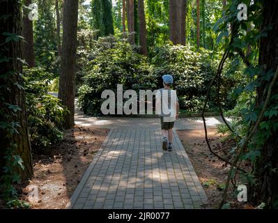 Boy ist zu Fuß zwischen den Schattierungen der Bäume im botanischen Garten, selektive Fokus. Junger Naturliebhaber Stockfoto