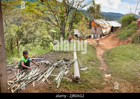 Orang asli Siedlung, Cameron Highlands, kleiner Junge sammelt Brennholz Stockfoto