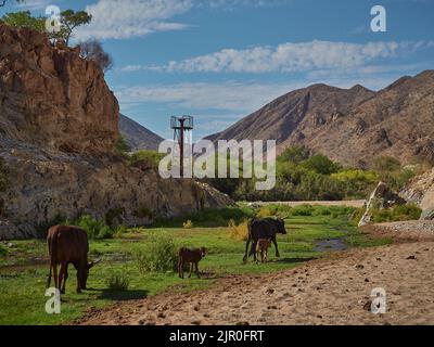 Hoanib ephemerer Fluss in der Khowarib-Schlucht in der Kunene-Region in Namibia Stockfoto