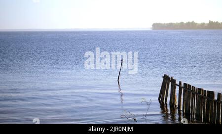 Landschaft, Morgendämmerung über dem Wasser, Fluss, Strömung. Sommermorgen. Erholung an einem Flussstrand. Hochwertige Fotos Stockfoto