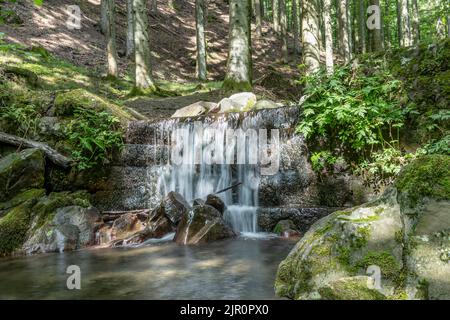 Ein kleiner Wasserfall im Naturschutzgebiet Acquerino Cantagallo, zwischen den Provinzen Pistoia und Prato, Italien Stockfoto