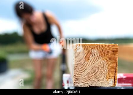 Die Frau imprägniert roh gehobelte Kiefernbalken mit Abmessungen von 100x100mm mit einer farblos imprägnierten. Stockfoto