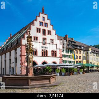 Der Fischbrunnen am Minsterplatz ist der älteste und prächtigsten Brunnen der Stadt Freiburg. Baden Württemberg, Deutschland, Europ Stockfoto