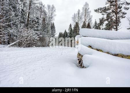 Schneebedeckte Waldstraße mit Holzstapel an der Seite Stockfoto