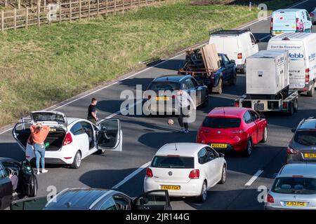 Menschen, die im stationären Verkehr auf einer Autobahn, die aufgrund eines Notfalls gesperrt wurde, einen Ball spielen Stockfoto