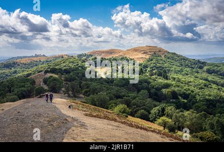 Ausgetrockte Landschaft der Malvern Hills mit Blick nach Süden in Richtung British Camp (Herefordshire Beacon) im Sommer 2022 Stockfoto