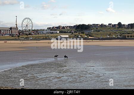 Pferde am Strand Stockfoto