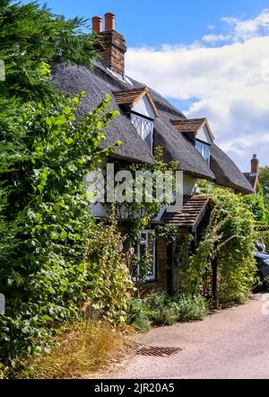 Haus mit Reetdach, Flamstead, Hertfordshire Stockfoto