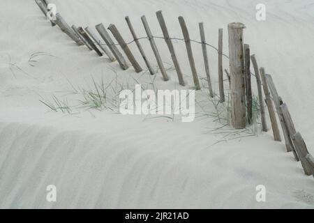 West Wittering, Großbritannien, 21. August 2022: Sand stapelt sich am Fuße der Sanddünen von West Wittering und überwältigt einen alten Holzzaun. Neueres Kunststoffgewebe Stockfoto