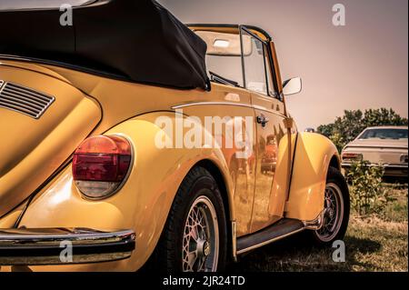 Rovigo, Italien 20. august 2022: Volkswagen Beetle Cabrio, komplett restauriert gelb, auf dem Rasen in einer typisch italienischen Landschaft geparkt. Stockfoto