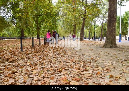 London, Großbritannien. 21.. August 2022. Tote Blätter bedecken den St. James's Park im Zentrum Londons und erinnern an den Herbst. Hitzewellen und Dürrezustände infolge des Klimawandels führen dazu, dass Bäume früh Blätter vergießen. Kredit: Vuk Valcic/Alamy Live Nachrichten Stockfoto