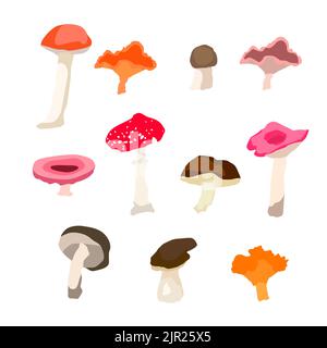 Waldpilze. Set aus Pfifferlingen, Steinpilzen, Toadstool, Fliegenpilz, Champignon und anderen. Niedliche Pilze auf weißem Hintergrund isoliert. Glatsch Stock Vektor