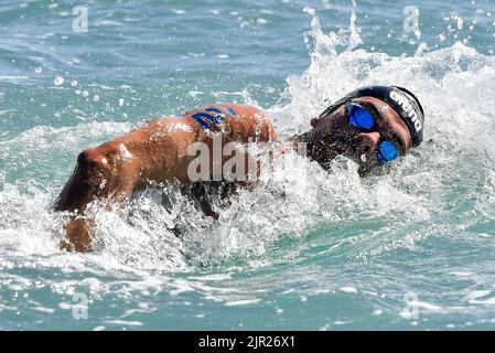 Roma, Italien. 21. August 2022. PALTRINIERI Gregorio ITA ITALY10km Männer Open Water Roma, 21/8/2022 Lido di Ostia XXVI len European Championships Roma 2022 Foto Andrea Staccioli/Deepbluemedia/Insidefoto Kredit: Insidefoto di andrea staccioli/Alamy Live News Stockfoto