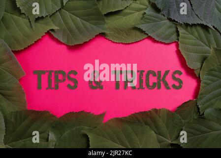 Schild mit Tipps und Tricks. Konzeptionelle Foto Schritte Lifehacks praktische Ratschläge Empfehlungen Fähigkeiten Geschäftsmann präsentiert wichtige Informationen auf Stockfoto