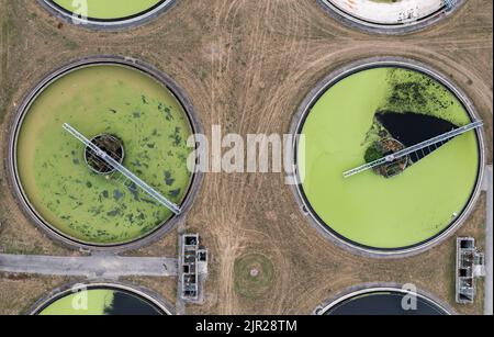 Eine Luftaufnahme direkt über einer Abwasseraufbereitung arbeitet mit kreisförmigen Lagertanks, die Abwasser mit Grünalgen für Trinkwasser filtern Stockfoto