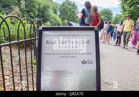 London, Großbritannien. 21.. August 2022. Ein Schild warnt Besucher davor, den See im St James's Park zu betreten oder ihren Haustieren zu erlauben, da sich giftige Blaualgen aufgrund von anhaltenden Hitzewellen ausbreiten. Kredit: Vuk Valcic/Alamy Live Nachrichten Stockfoto