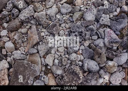 Textur aus porösen fossilen Steinen, typisch für die Maya Riviera in Mexiko. Stockfoto
