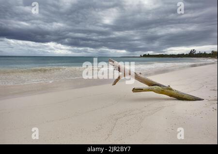 Drift Holzstamm eingebettet in den weißen Sand des Xpu-ha Strand in Mexiko. Hinter dem Meer und einem Himmel, der Sturm verspricht. Stockfoto