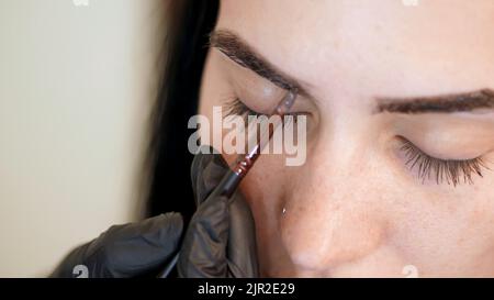 Nahaufnahme. Junge Frau bekommt Augenbrauen Korrektur Verfahren. Kosmetolog- Make-up-Künstler gilt Farbe mit Pinsel auf Augenbrauen in Beauty-Salon. Professionelle Gesichtspflege. Hochwertige Fotos Stockfoto