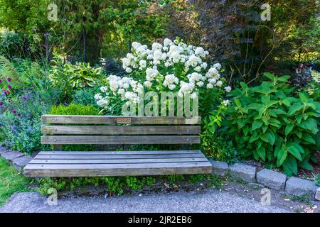 Eine Holzbank mit weißen Blumen im Point Defiance Park in Tacoma, Washington. Stockfoto