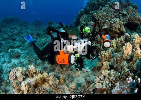 Eine Taucherin (MR) steht mit ihrer digitalen Spiegelreflexkamera in einem Unterwassergehäuse mit Stroboskopen auf einem Riff an. Kona Coast, Hawaii. Stockfoto