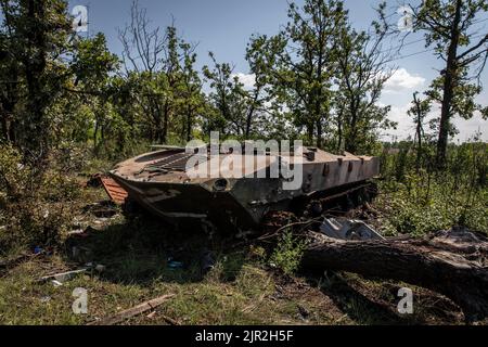 Mykolaiv, Ukraine. 19. August 2022. Ein zerstörter Panzerbewehrungsträger (APC), der auf einem Feld im Gebiet Mykolaiv in der Ukraine gesehen wurde. Während ukrainische Beamte ihre Parteilichkeit geltend gemacht haben, um ihr Territorium zurückzugewinnen, und eine Gegenoffensive in der Südachse des Landes, einschließlich des Gebiets Mykolaiv, gestartet haben, wurde das Gebiet unter heftigen Kämpfen und die Gebiete um die Stadt Mykolaiv wurden von beiden Seiten heftig bekämpft. (Foto von Alex Chan/SOPA Images/Sipa USA) Quelle: SIPA USA/Alamy Live News Stockfoto