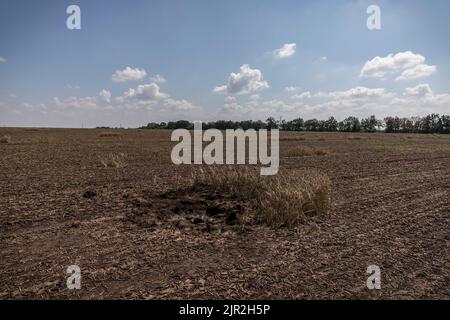 Mykolaiv, Ukraine. 19. August 2022. Ein Krater, der von einer Antipersonenmine auf dem Feld im Gebiet Mykolaiv in der Ukraine erstellt wurde. Während ukrainische Beamte ihre Parteilichkeit geltend gemacht haben, um ihr Territorium zurückzugewinnen, und eine Gegenoffensive in der Südachse des Landes, einschließlich des Gebiets Mykolaiv, gestartet haben, wurde das Gebiet unter heftigen Kämpfen und die Gebiete um die Stadt Mykolaiv wurden von beiden Seiten heftig bekämpft. (Foto von Alex Chan/SOPA Images/Sipa USA) Quelle: SIPA USA/Alamy Live News Stockfoto