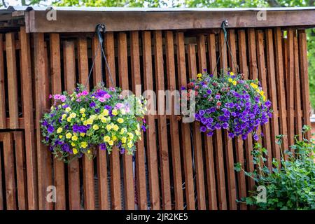 Ein Topf voller blühender Blumen, die an einer Holzwand hängen Stockfoto