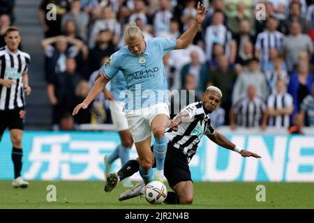 Newcastle, UK, 21/08/2022, ERLING HAALAND IN ANGRIFF GENOMMEN VON NEWCASTLE UNITED'S JOELINTON, NEWCASTLE UNITED FC V MANCHESTER CITY FC, 2022Credit: Allstar Picture Library/ Alamy Live News Stockfoto