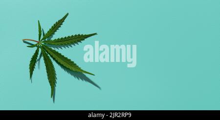 Grünes Hanfblatt wirft Schatten auf einen strukturierten, türkisfarbenen Hintergrund. Breites Banner mit frischem medizinischen Marihuana-Blatt. Cannabis sativa Pflanze, pflanzliche Medizin Stockfoto