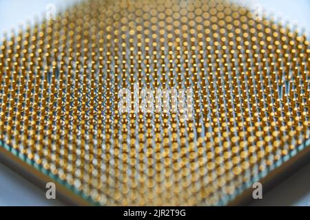 Mikroprozessor auf weißem Hintergrund. goldene Stifte nach oben. Das Konzept der neuen Technologien Stockfoto
