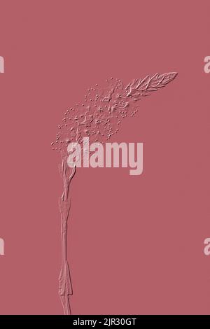 Digital geprägtes Bild von Persicaria affinis ‘Darjeeling Red’ Stockfoto