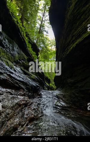 Eine vertikale Aufnahme eines kleinen Flusses, der auf dem schlammigen Boden zwischen Klippen in einem Wald planscht Stockfoto