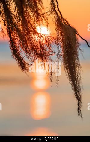 Sonnenuntergang über dem Pazifischen Ozean im Salt Creek Recreation Area entlang der Straße von Juan de Fuca, Olympic Peninsula, Washington State, USA Stockfoto