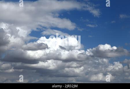 Weiße Cumuluswolken, graue Wolken, blauer Himmel, dramatischer, turbulenter Himmel, Himmel, Wetter, Meteorologie, England, Großbritannien Stockfoto