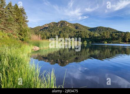 Wispige Wolken und bewaldete Hügel, die sich in ruhigen Gewässern spiegeln, signalisieren einen schönen Start in einen Sommertag in den Rockies Stockfoto