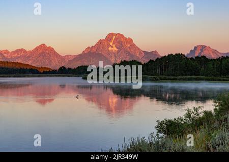 Die Oxbow Bend of the Snake River spiegelt den frühen Morgenalpenlow des Mount Moran in der Teton Range wider Stockfoto